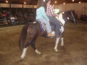 black and white pony gelding sold for $200