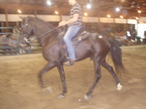 black TWH sold for $800