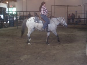 POA mare sold for $350