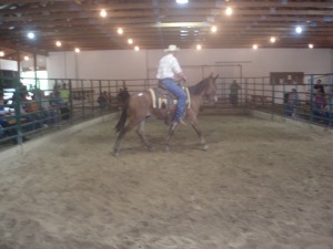 14 year old mule gelding sold for $325