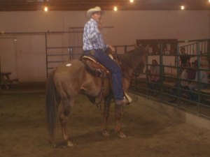10 year old quarter horse gelding sold for $400
