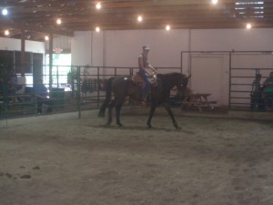 11 year old Thoroughbred gelding sold for $825