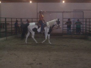 7 year old Paint mare sold for $400