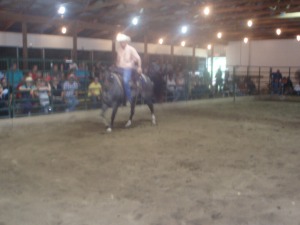 6 year old blue roan mare