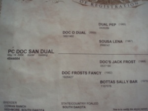 by Doc o Dual (Dual Pep) and out of Doc Frosts Fancy
