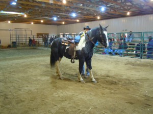 8 year old Paint mare sold for $600