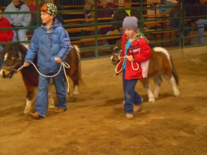 7 year old mini mare and foal sold for $100