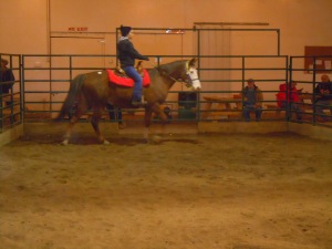 registered sorrel Paint mare sold for $375