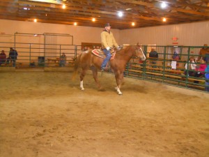 2 year old AQHA sorrel filly sold for $700