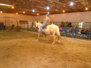 8 year old Palomino AQHA mare in foal sold for $450